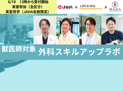 JAHA  × Life＆Tail × WAHA共同開催「第2回外科スキルアップラボ」