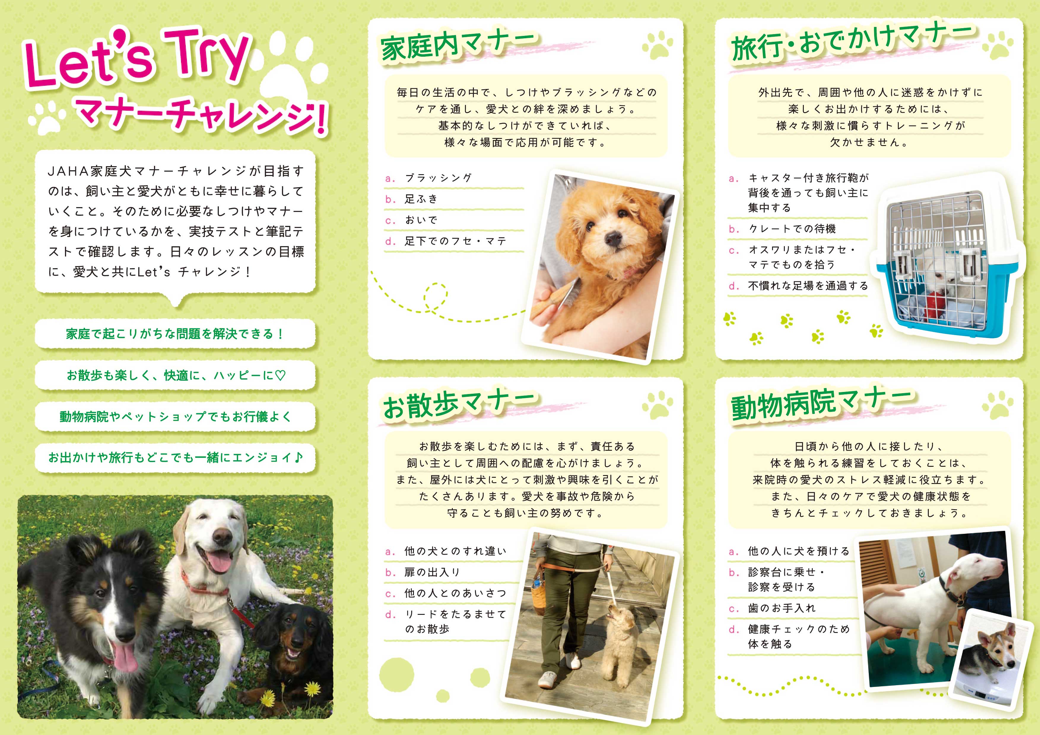 家庭犬マナーチャレンジ ベーシック編 動物病院を探したい しつけを学びたい 公益社団法人 日本動物病院協会