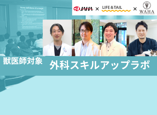 JAHA × Life＆Tail × WAHA共同開催「外科スキルアップラボ」