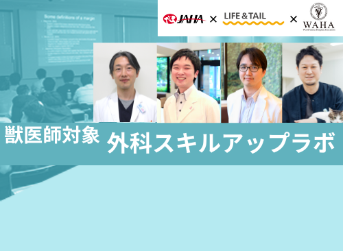 JAHA  × Life＆Tail × WAHA共同開催「第2回外科スキルアップラボ」