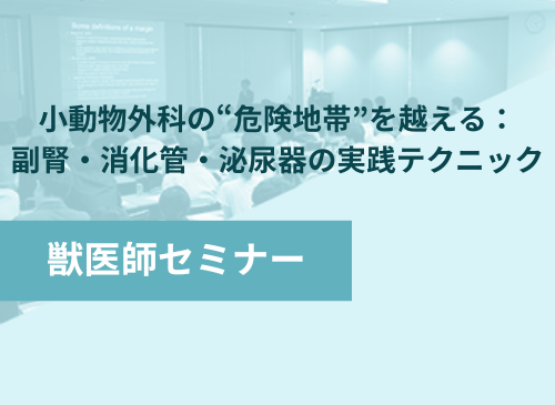 オンライン国際セミナー「腹部/軟部外科A」