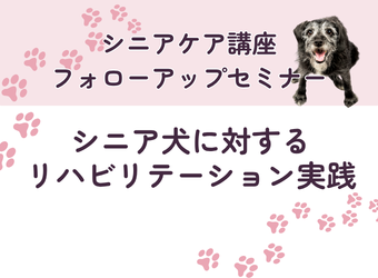 シニアケア講座フォローアップセミナー