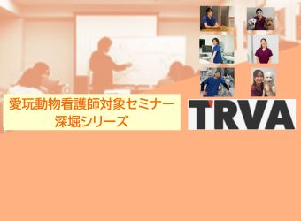 VNセミナー深掘りシリーズ『 ようこそ！救急看護の世界へ ー「看る・護る・チームで救う」をみんなで学ぶー 』全3回