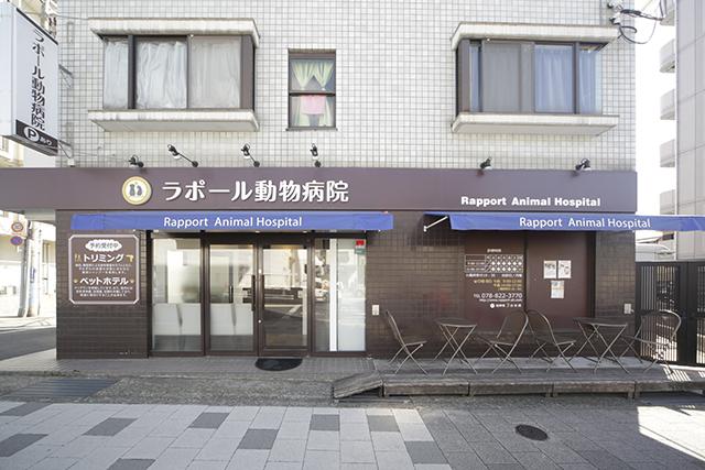 ラポール動物病院 動物病院検索 公益社団法人 日本動物病院協会