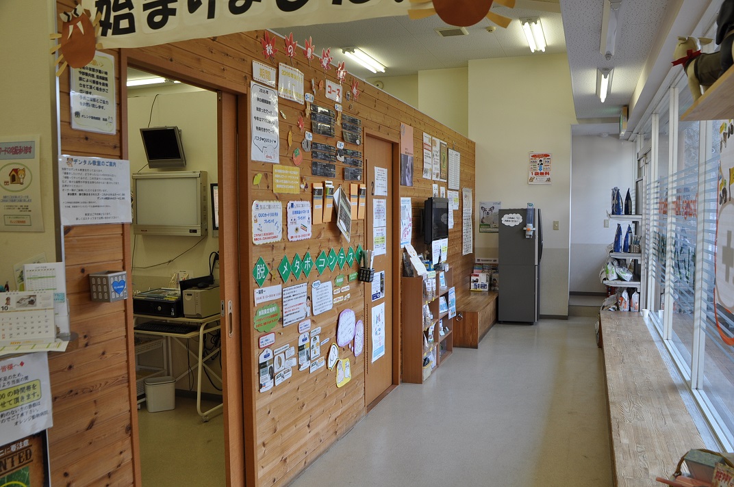 動物 病院 オレンジ