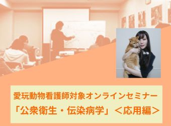 公益社団法人 日本動物病院協会